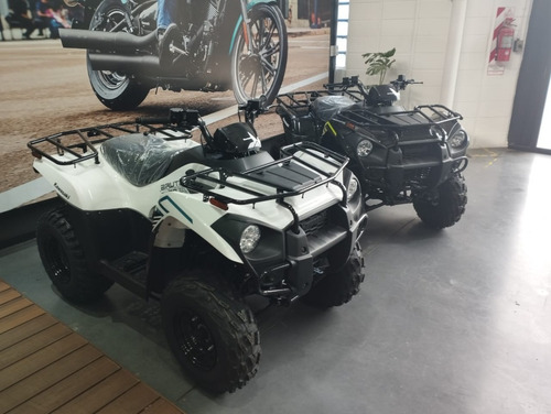 Imagen 3 de 15 de Kawasaki Brute Force 300