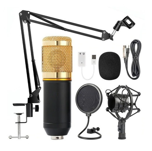 Micrófono Profesional Bm-800 Para Estudio Condensador Antipo
