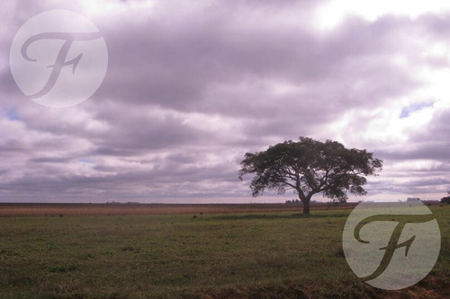 Campo Mixto En Venta - 2.270 Ha En Corrientes Con Gran Potencial Productivo