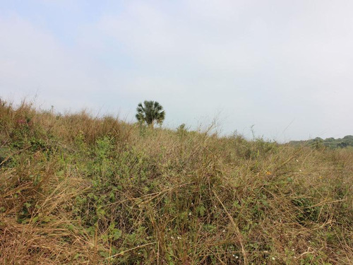 Venta Terrenos 16,712 M² Tuxpan Veracruz