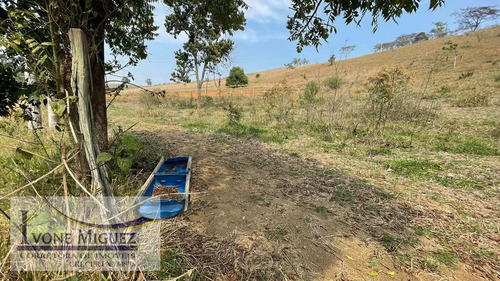 Imagem 3 de 4 de Terreno Em Arcozelo - Paty Do Alferes - 3409