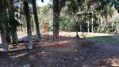 Imagem 6 de 8 de Terreno - Ref: 1946 - V-1946