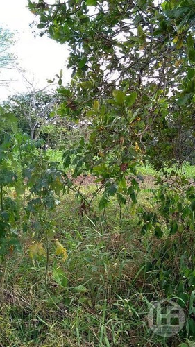 Chácara À Venda 8,87 Hectare - Ch0012