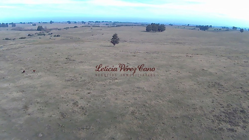 Imagen 6 de 7 de Venta De Chacra 15 Has En San Carlos, Maldonado
