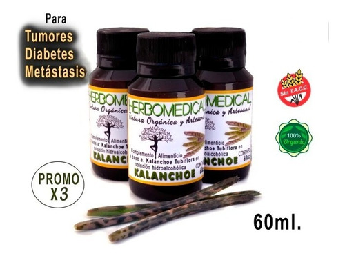 3x Tinturas Madre Kalanchoe Orgánica Cáncer Tumores Diabete 