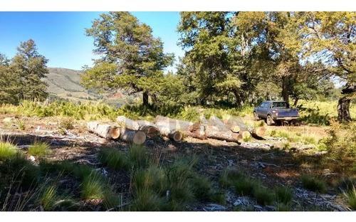 Parcela Lonquimay 1,4 Ha