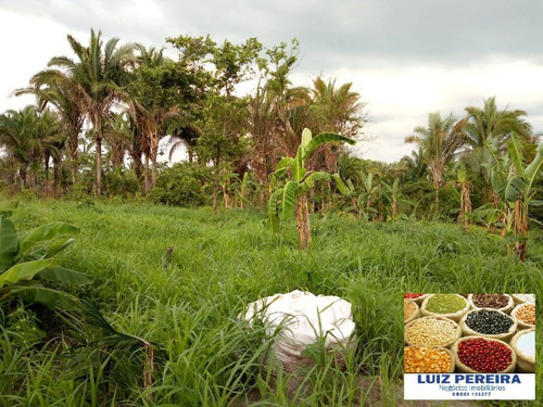 Imagem 4 de 15 de Fazenda À Venda No Vale Do Araguaia - To - De 22 Alqueirões (dupla Aptidão) - 1651