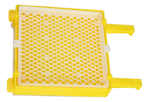Kit De Sistema Apícola Para La Cría De Abejas Reinas