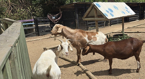 2 Cabañas En Parcela En El Corazón Del Valle De Tunquén