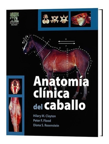 Anatomía Clínica Del Caballo » Elsevier