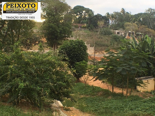 Imagem 4 de 6 de Terreno - Te00014 - 4394529