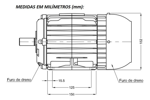 Motor Trifásico 3cv Weg 4 Polos Premium 220/380v W22 Ir3