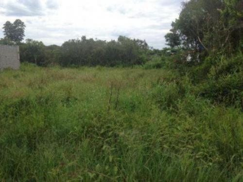 Lote Lado Praia Em Itanhaém 280m². 3608e
