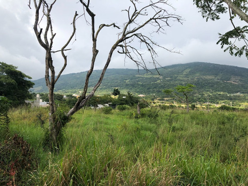 Terreno En Venta En Viva Cardenas