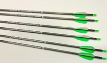 Comprar 12 Flechas Tiro Precision Arco Recurvo Carbono(verde\u002Fblanco)