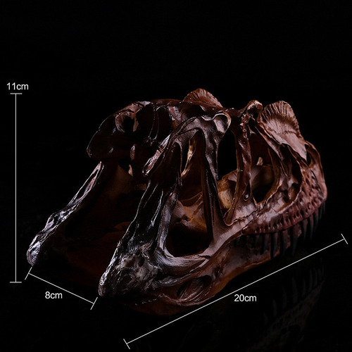 2 Piezas 1/3 Modelo De Resina Dilophosaurus Cráneo Fósil