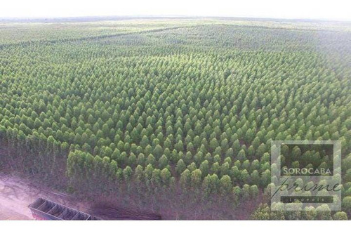 Imagem 2 de 4 de Fazenda À Venda, 250000000 M² Por R$ 1.500.000.000 - Centro - Ribas Do Rio Pardo/ms - Fa0032