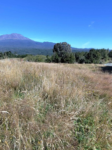 Terreno Amplio Para Proyecto De Ensueño (149130)