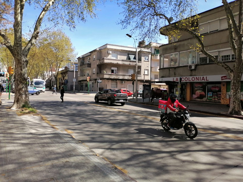 Venta Local Comercial Av. Rivera Pocitos Apricus