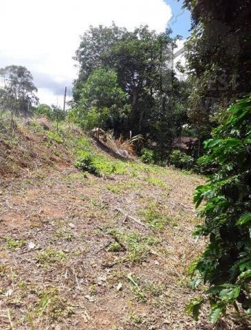Imagem 6 de 8 de Cod 4309 - Lindo Lote Em Loteamento Fechado Com Pomar!! - 4309