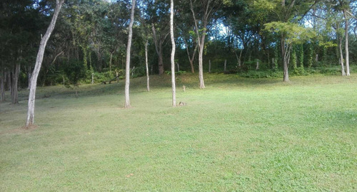 Imagen 8 de 11 de Terrena De 1 Hectárea Con Casa