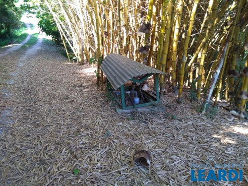 Imagem 6 de 15 de Chacara - Monte Alegre - Sp - 601688