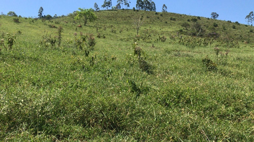 Imagem 15 de 17 de C05 - Lotes A Venda A Partir De 35.000!