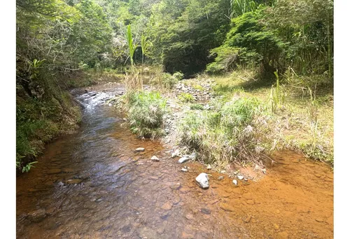 Lote 2000m2 - Venta - Los Pirineos Km 37 Vía Queremal Dagua