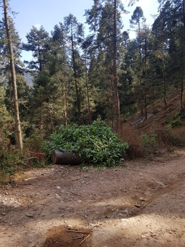 Imagen 7 de 15 de Venta De Terreno En Salazar La Marquesa Estado De Mexico