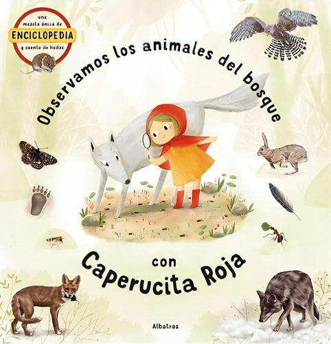 Observamos Los Animales Del Bosque Con Caperucita Roja, De Varios Autores. Editorial Albatros, Tapa Blanda, Edición 1 En Español