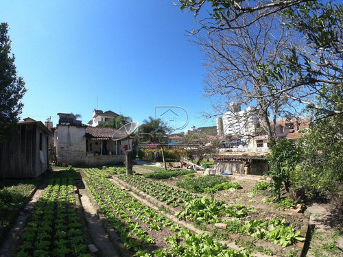 Imagem 6 de 6 de Terreno - Centro - Ref: 31879 - V-31876