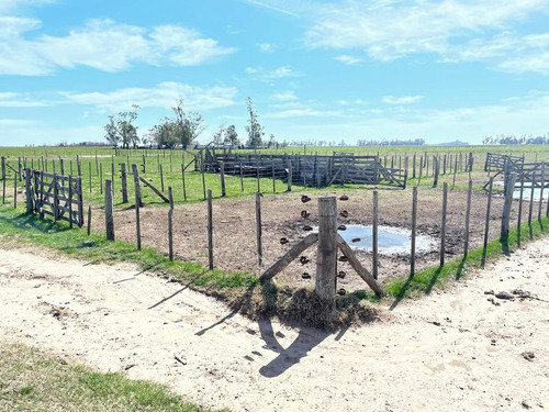 167 Hectareas Agricolas En Lobos