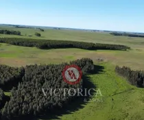 Comprar ¡excelente Oportunidad En Durazno! Campo Ganadero-agrícola. Casa Principal, Casa Personal Y Casa Capataz, Todas Completas. Tiene 150 Has. Forestadas, Por 20 Años.