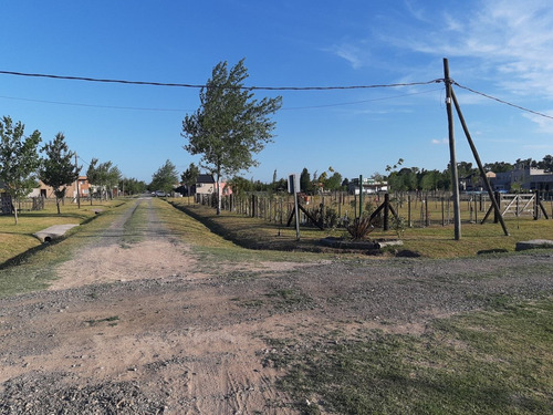 Imagen 14 de 14 de Terreno 410 Mtrs2 10x 41