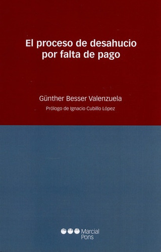 El Proceso De Desahucio Por Falta De Pago, De Besser Valenzuela, Günther. Editorial Marcial Pons, Tapa Blanda, Edición 1 En Español, 2014