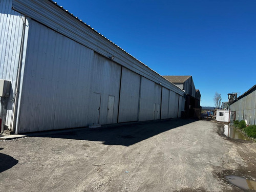 Arriendo Bodegas De 90 M2 Y 1150 M2, Jaime Repullo Talcahuan