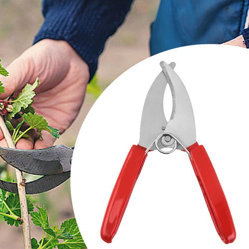 Tijeras Para Pelar Anillos, Tijeras De Mano Un Solo Borde