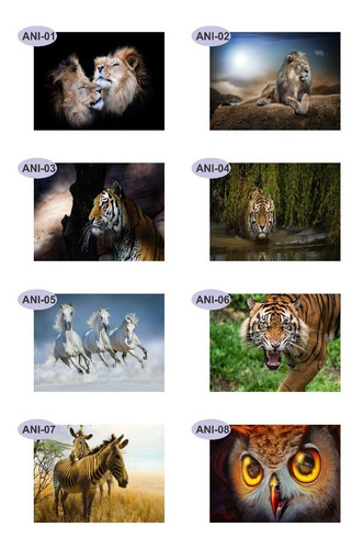 Imagem 9 de 10 de Papel Parede Adesivo Pet Cachorro Gato 2,30 Larg X 1,60 Alt
