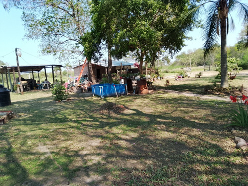 Quinta