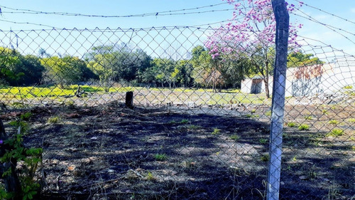 Imagem 6 de 7 de Terreno À Venda Em Centro - Te017034