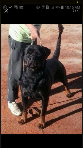 Imagem 3 de 4 de Para Sair Rápido