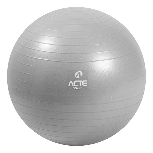 Bola De Pilates Ginastica Gym Ball 55cm T9-55 Acte Sports