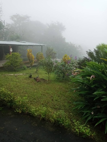 Casa En Ambiente Neblinoso De Montaña En El Punto Mas Alto ( 1000 Msnm) De La Sierra Oriental De Valle Guanape Entre Los Estados Anzoátegui Y Miranda