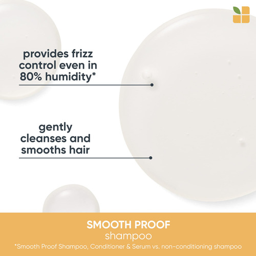 Shampoo Biolage Smoothproof, Limpa, Suaviza E Controla O Fri