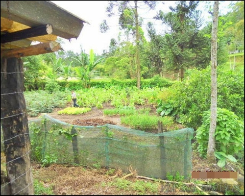 Imagem 19 de 30 de Fazenda Em Juquitiba; Fazenda À Venda Em Juquitiba Sp - 241 - 32982716
