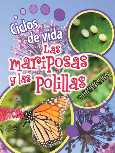 Libro: Ciclos De Vida De Las Mariposas Y Las Polillas (life