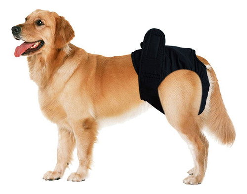 Pantalones Fisiológicos Para Perros Pañal Sanitarios Para