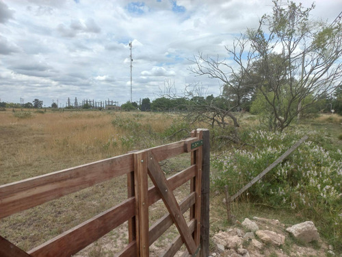 Imagen 20 de 22 de Lote De 10.000 Metros En Chascomús