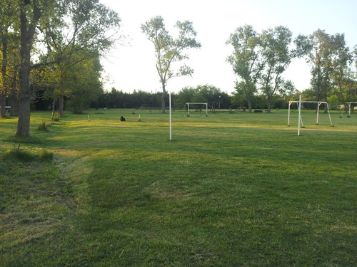 Imagen 6 de 13 de Quinta Alquiler En Zona Sur - Dia De Campo