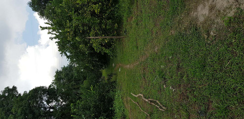 Imagem 27 de 30 de Chácara Em Parque Capivari, Duque De Caxias/rj De 100000m² 2 Quartos À Venda Por R$ 500.000,00 - Ch596274-s